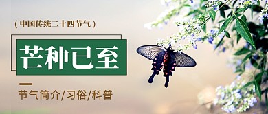小清新芒种节气公众号首图