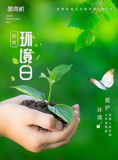 绿色简约大气世界环境日海报