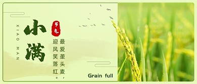 二十四节气小满公众号首图