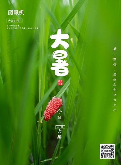 绿色简约大暑时节海报