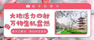 随手拍春天公众号首图