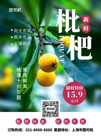 新鲜枇杷绿色水果促销海报
