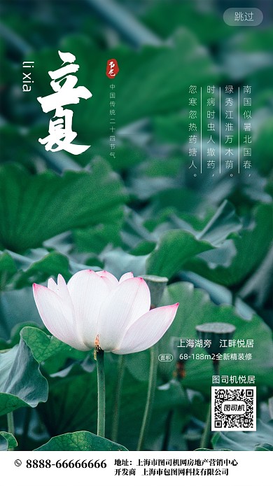 立夏节气荷花摄影海报