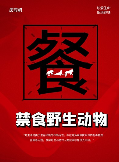 红色创意禁食野生动物公益海报