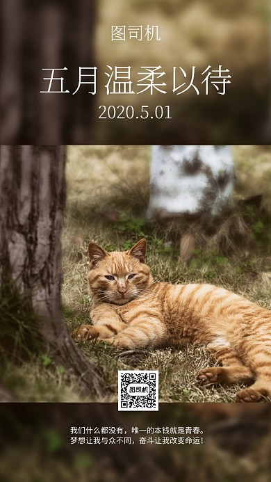 五月你好手机海报