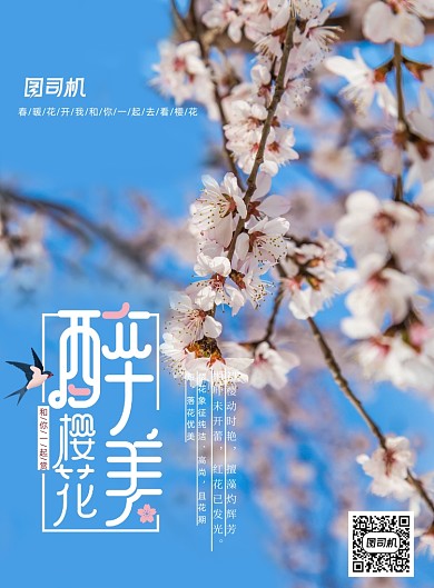 醉美樱花节宣传海报