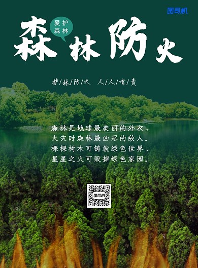 绿色简约森林防火印刷海报