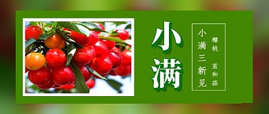 节气小满绿色简约新媒体配图