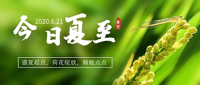 绿色简约今日夏至公众号首图