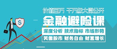 金融保险课专家百万分析金融避险