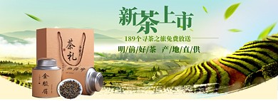 春茶上新海报banner