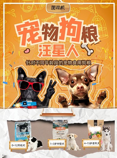 分段型宠物狗粮童趣橙色海报