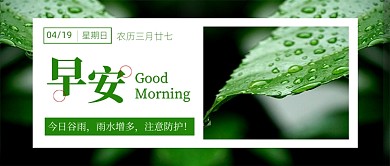 绿色简约早安谷雨公众号首图