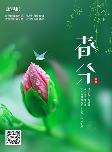 绿色二十四节气春分宣传海报