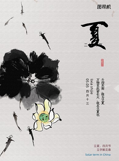 立夏节气荷花鱼儿游留白宣传海报