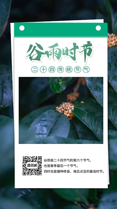 谷雨简约手机海报