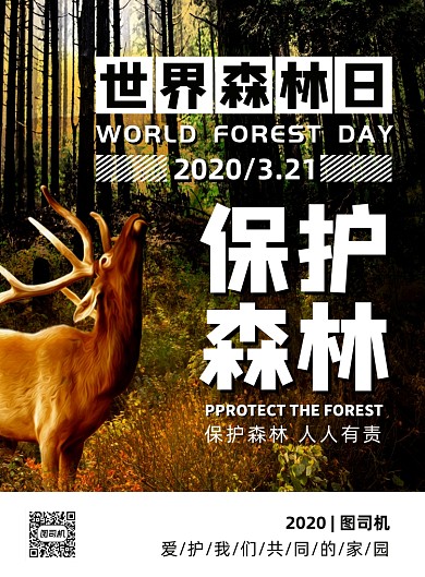 时尚简约公益世界森林日宣传海报