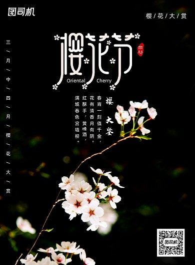 黑色简约樱花节宣传海报