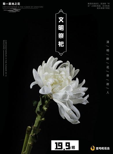 简约大气风清明花店鲜花祭祀宣传海报