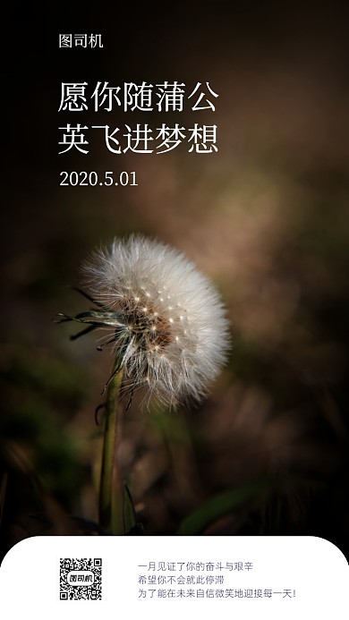 五月你好手机海报