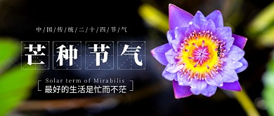 小清新芒种节气公众号首图
