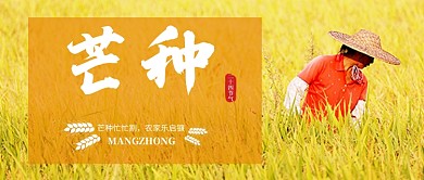 芒种节气简约公众号首图