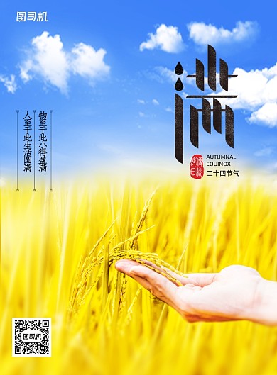 简约大气摄影小满海报