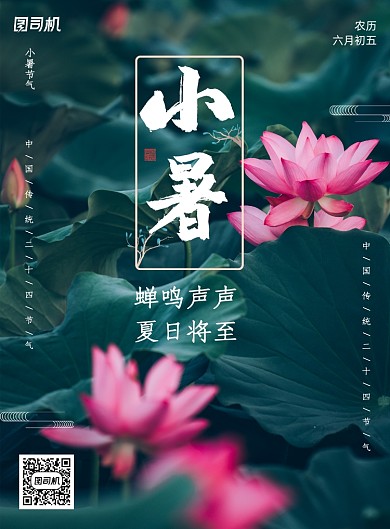 唯美小暑节气海报
