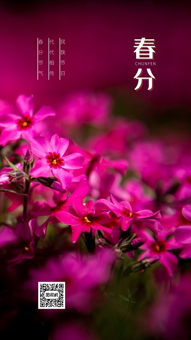 简约春分手机海报