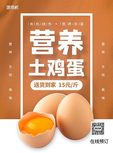 营养土鸡蛋送货到家促销美味海报