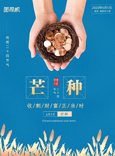 大气创意金融行业芒种节气海报