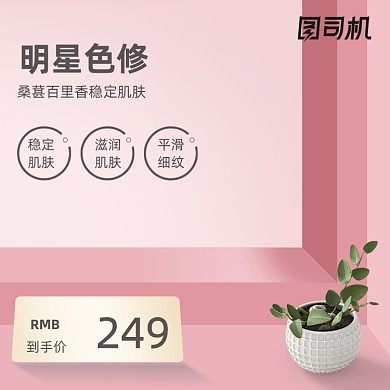 清新促销化妆美容电商直通车