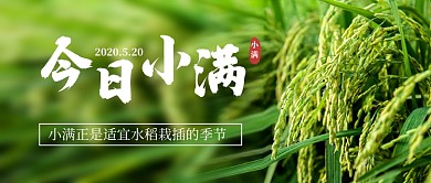小满节气新媒体配图