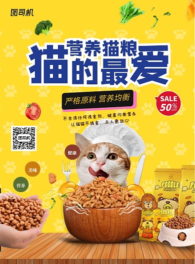 黄色猫粮宠物猫海报