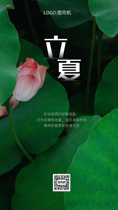 立夏节气手机海报