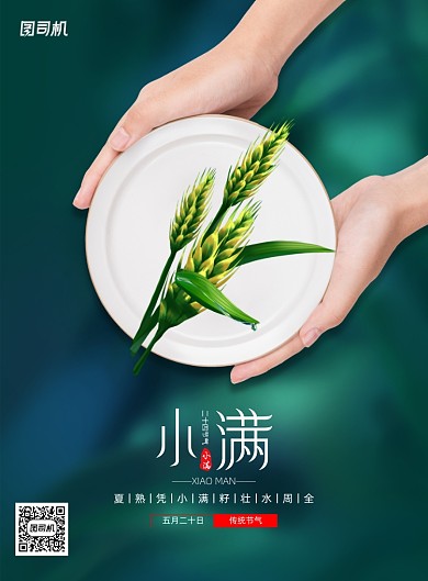 简约二十四节气小满海报