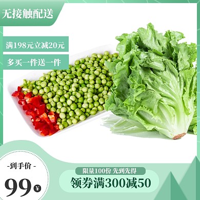 蔬菜水果安全配送主图模板