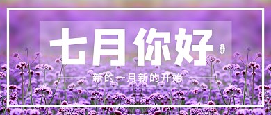 紫色小清新七月你好新媒体配图