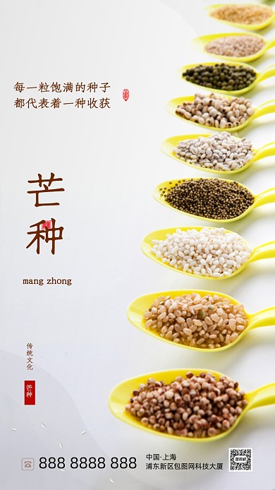 时尚简约芒种节气海报