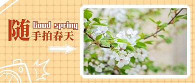 随手拍春天公众号首图