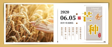 芒种传统节气简约公众号首图