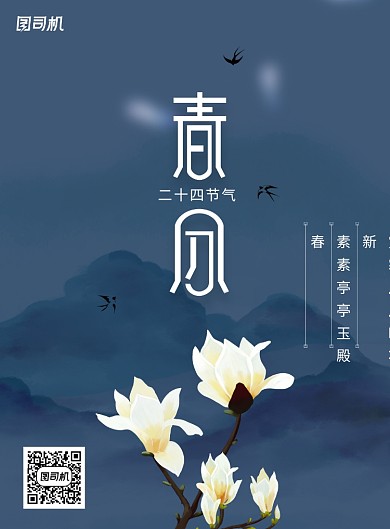简约玉兰花春分节气海报