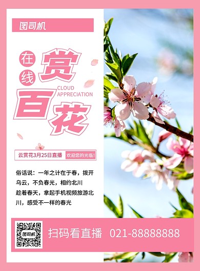 在线赏百花直播看花粉色简约海报