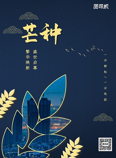 大气二十四节气芒种地产海报