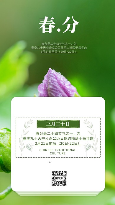 简约春分手机海报