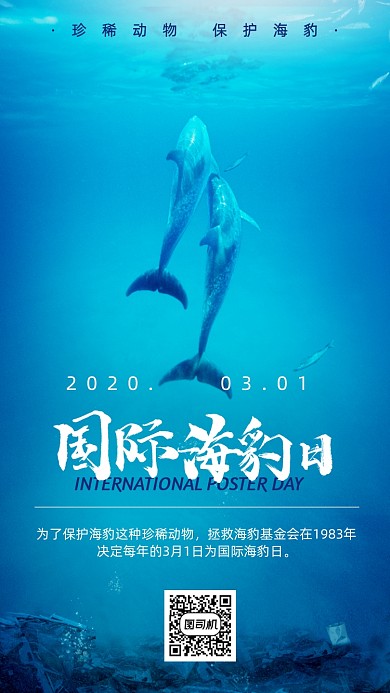国际海豹日手机海报