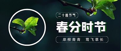 春分世界绿色清新嫩芽公众号首图