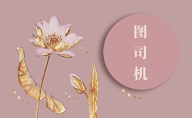 时尚大气荷花名片