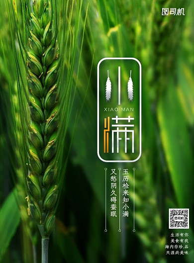 简约创意小满传统节日海报