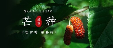 芒种时节公众号首图